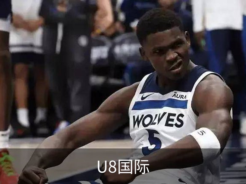 U8国际介绍